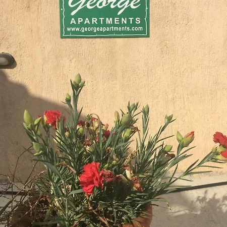 George Vakantiehuis Lourdata (Kefalonia)